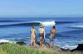 Surf Guide - Image 2